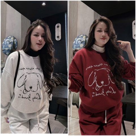 Set810- Bộ mặc nhà áo nỉ hai da phối qq