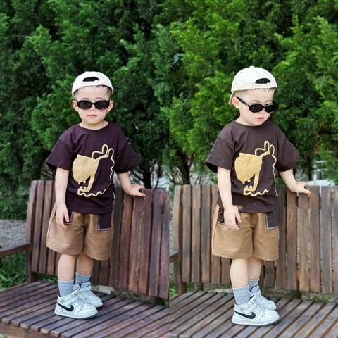 BT527- Bộ áo cotton Nâu đậm in Sư tử mix quần kaki túi phối
