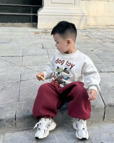 BT748-Bộ nỉ haida bé trai áo xám in phối quần bo ống