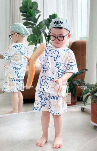 BT546- combo 2 bộ cotton Gero xanh trắng chất cotton loại đẹp