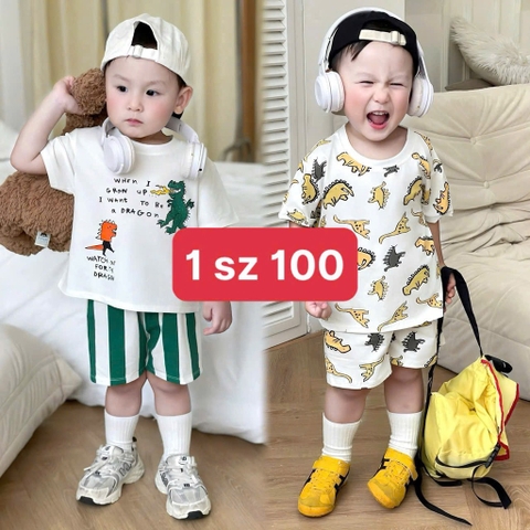 Cb343- Combo 2 bộ KL sắc màu chất cotton bé trai