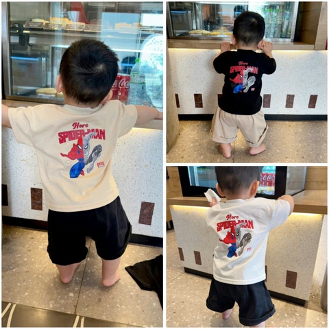 CB243- Combo 3 áo cotton NHỆN trẻ em in lưng