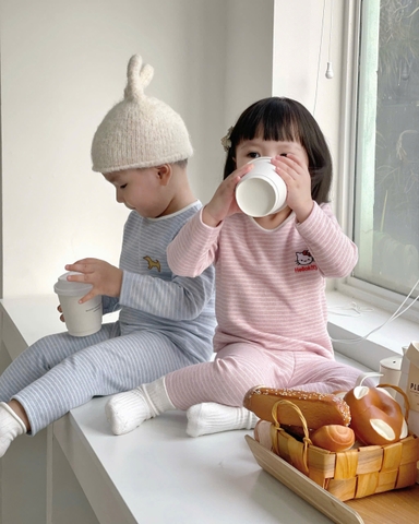 BT657- Bộ áo thun dài tay kẻ ngang trẻ em 4 màu