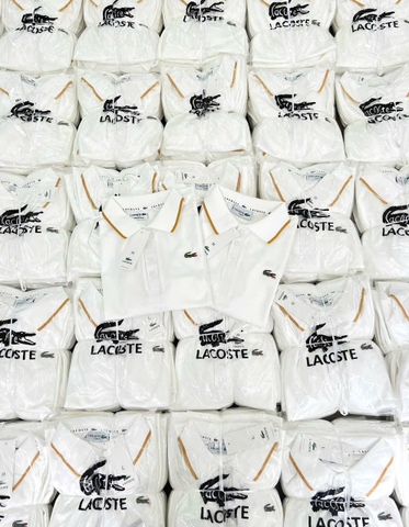 A308- Áo polo trắng  cổ viền vàng logo thêu nổi