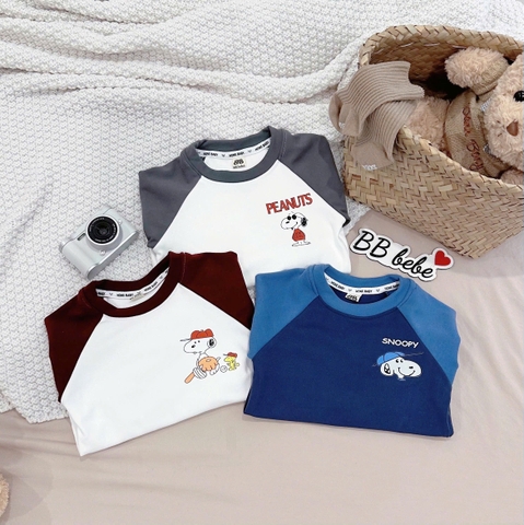 Cb300-Combo 3 áo thun cotton dài tay bé trai 3 màu size 9-27kg