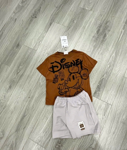 BT494- Bộ DISNEY áo cotton cam đất mix quần cua tím nhạt
