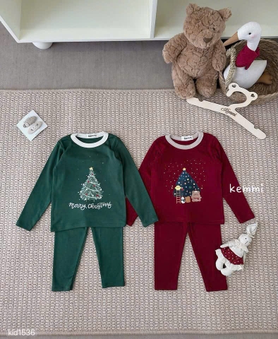 Bt770- Combo 2 bộ zip Noel xanh-đỏ dài tay hoạ tiết in