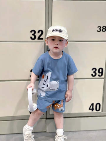 BT898-Combo 2 bộ KHỦNG LONG CỔ DÀI cộc tay cotton bé trai