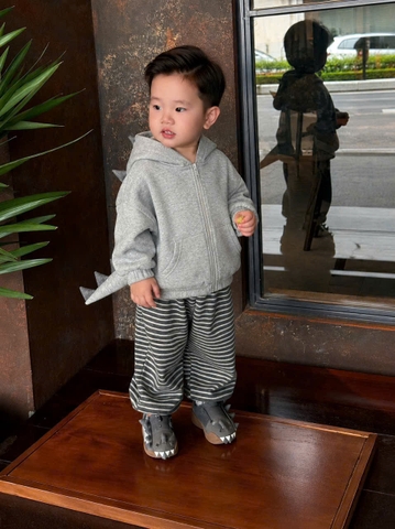 Bt1050-Bộ nỉ KHỦNG LONG đuôi nhồi bông màu xám tem minibbebe
