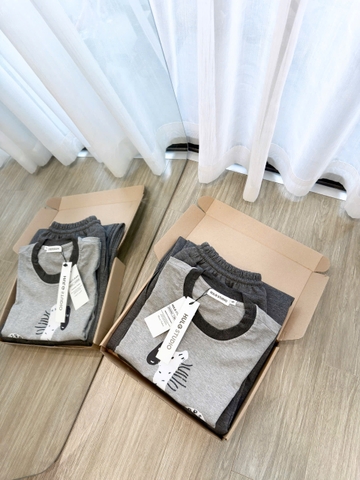 SET954-Set áo thun cộc ngựa xám phối quần baggy