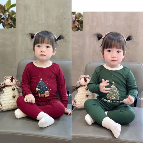 Bt770- Combo 2 bộ zip Noel xanh-đỏ dài tay hoạ tiết in