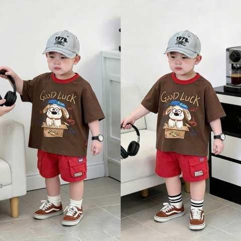 BT1042-Bộ Cún GOOD LUCK nâu đỏ loại đẹp