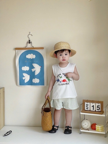 CB340- Combo 3 áo balo in khủng long chất cotton xược