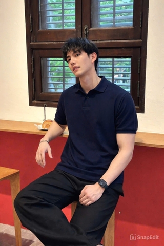 A619- Áo polo nam màu than thêu ngực hàng nhà máy đủ tem