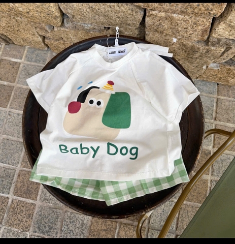 BT891- Bộ cotton mặc nhà 4 màu