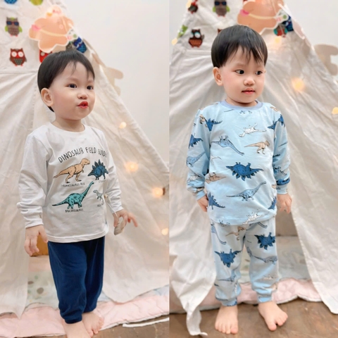 Cb303- Combo 2 bộ cotton khung long màu xanh mint