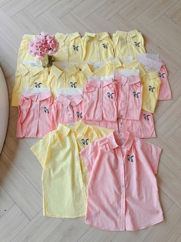 🌸 A319- ÁO SƠ MI TAY LIỀN THÊU CÚC NHIỂU MẦU 🌸