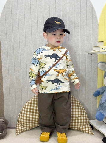 Bt676- Combo 4 áo phông dài tay chất cotton in xanh-vàng