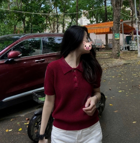 A639-Áo len cổ bẻ 4 màu