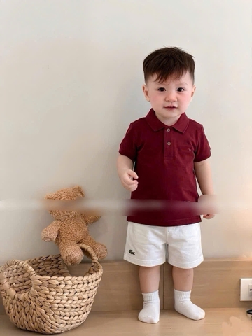BT853-Bộ áo polo trắng phối quần short thêu ngựa cho bé 9-26kg