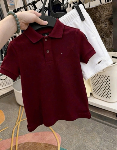 BT853-Bộ áo polo trắng phối quần short thêu ngựa cho bé 9-26kg