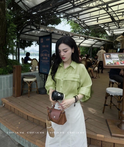 ☘️A104-ÁO SƠ MI TƠ GU LI NGANG 2 MÀU XANH TRẮNG🌺