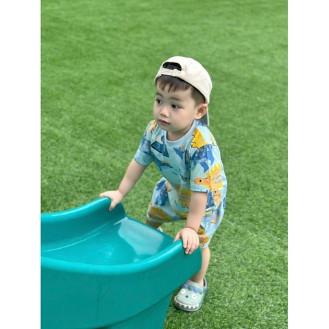 CB106- Combo 2 bộ xược khủng long bé trai VNXK