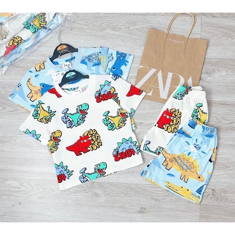 CB106- Combo 2 bộ xược khủng long bé trai VNXK