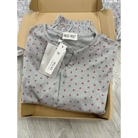 set658- Set tăm xanh hoa hồng dài tay thu đông