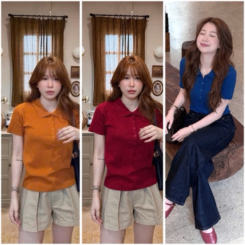 A599-Áo len polo dệt kim cộc tay 3 màu mẫu mới maisushishop