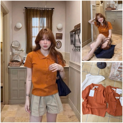 A599-Áo len polo dệt kim cộc tay 3 màu mẫu mới maisushishop
