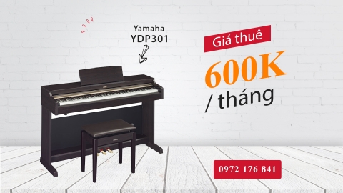 thuê piano yamaha ydp301