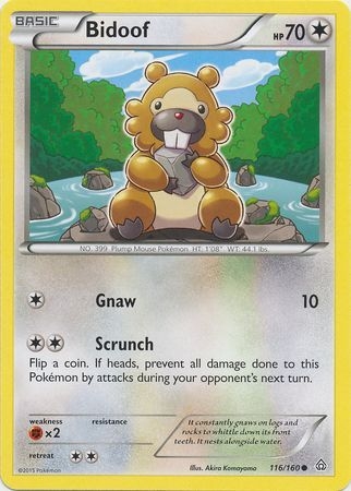 Bidoof - 116/160 - Common