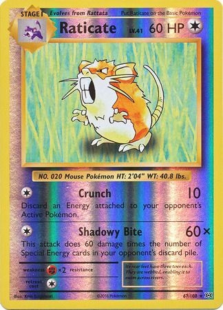 Raticate - 67/108 - Rare Reverse Holo