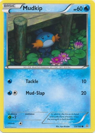 Mudkip - 33/160 - Common