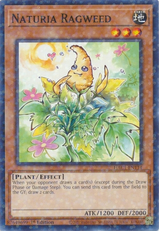 Naturia Ragweed - HAC1-EN114 - Duel Terminal Common Parallel 1st Edition