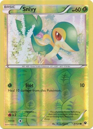 Snivy - 5/124 - Common Reverse Holo