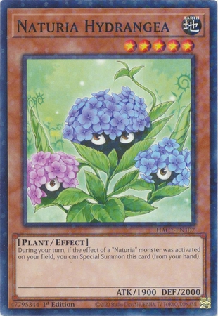 Naturia Hydrangea - HAC1-EN107 - Duel Terminal Common Parallel 1st Edition