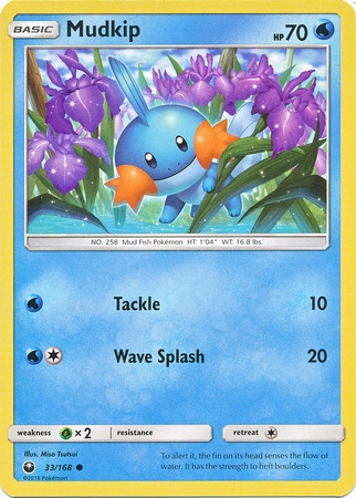 Mudkip - 33/168 - Common