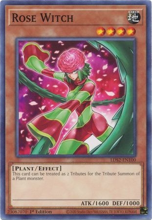 Rose Witch - LDS2-EN100 - Common 1st Edition