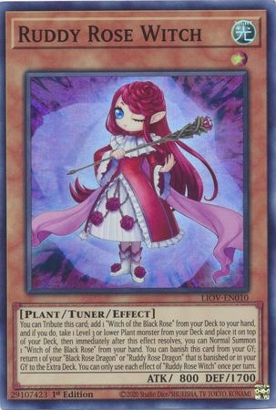 Ruddy Rose Witch - LIOV-EN010 - Super Rare 1st Edition