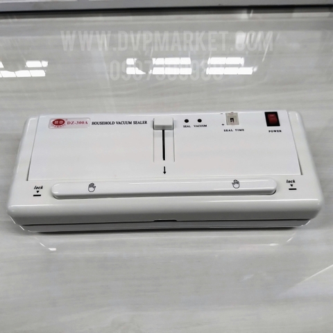 Máy hút chân không DZ 300A