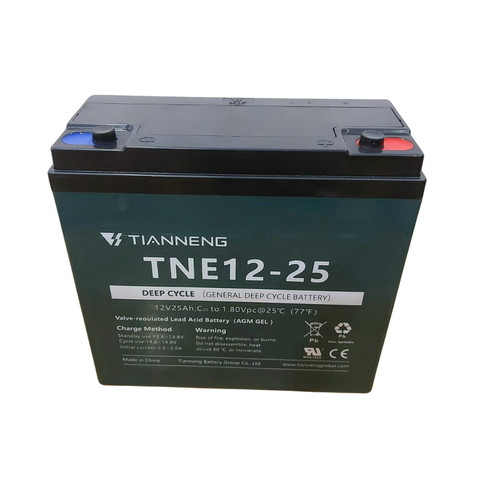 Ắc quy xe máy điện TNE12-25 (12V - 25Ah)