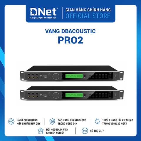 Vang Số DBacoustic PRO2