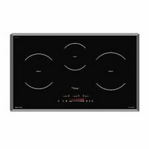 Bếp Từ Canzy CZ TL67GA