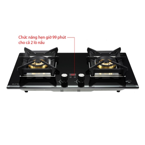 Bếp Gas EUROSUN EU-GA291D Cao Cấp 2 Vùng Nấu, 100% Đồng ITALY