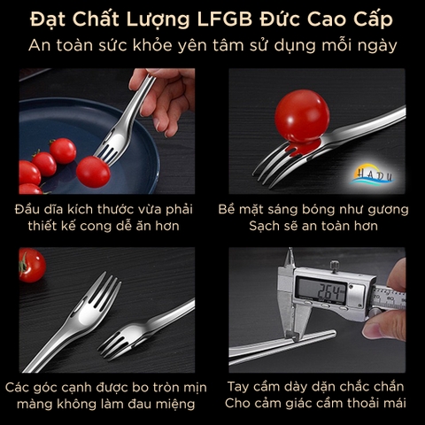 Dĩa Ăn Bánh Trái Cây SSGP, Inox 316L, Bo Tròn, Đạt Chất Lượng LFGB Đức