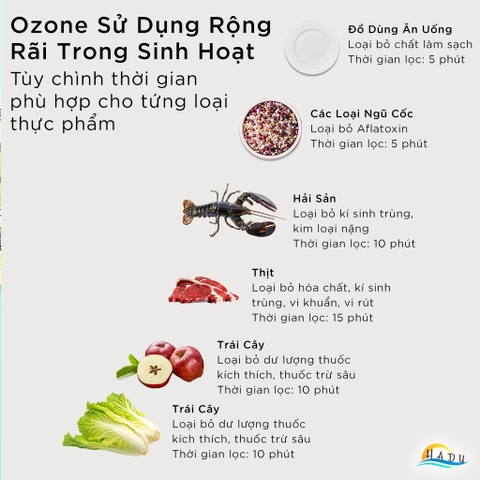 Máy Khử Độc Thực Phẩm & Lọc Không Khí HADU 2 trong 1, Ozone 400mg/h và Ion Âm