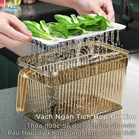 Hộp Bảo Quản Rau Củ Tủ Lạnh CCKO 6L, Có Rổ Lọc Chống Úng, Nắp Ghi Ngày, Nhiều Màu