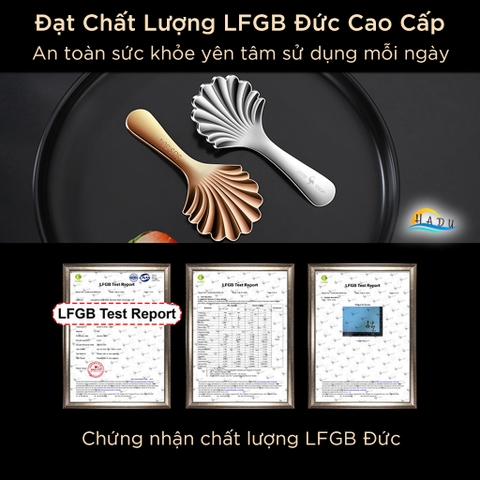 Thìa Múc Inox 304 Cao Cấp – Đầu Sâu, Tay Cầm Thoải Mái, Đa Năng Dùng Múc Trà, Sữa Bột, Bánh, Thạch SSGP